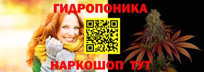 хмурый Кандалакша