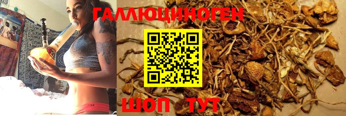 Галлюциногенные грибы MAGIC MUSHROOMS Железноводск