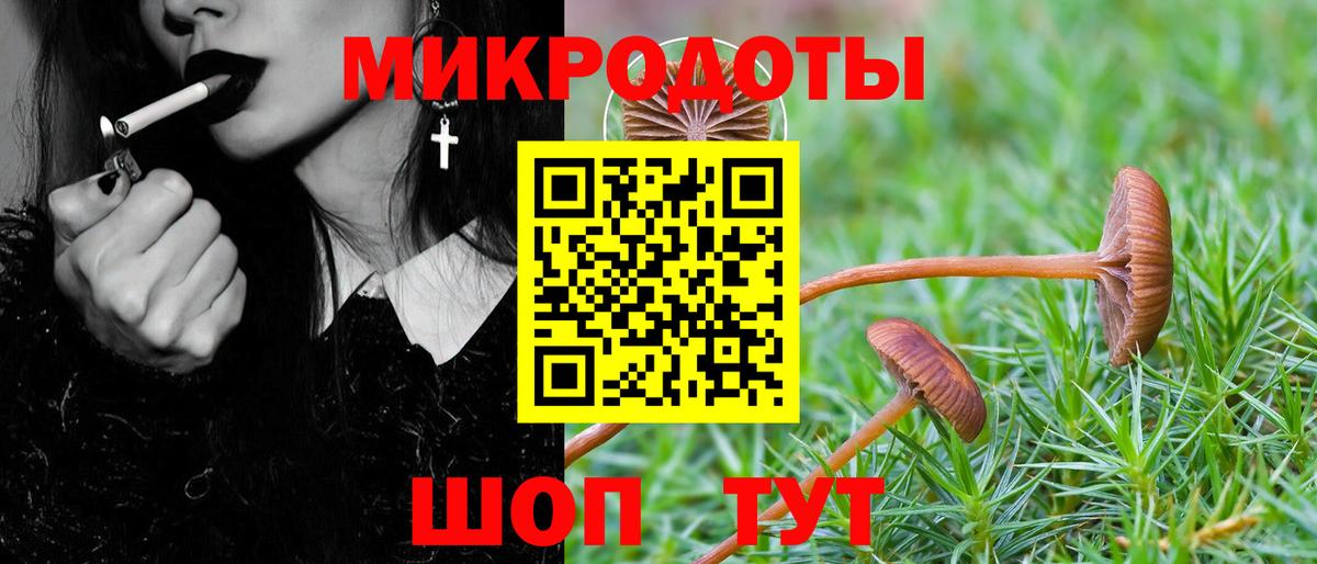 Железноводск  цена   Псилоцибиновые грибы MAGIC MUSHROOMS  Вход с VPN  Галлюциногенные грибы Psilocybe 